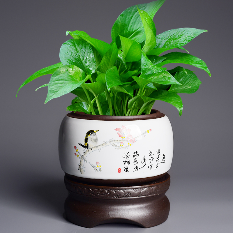 Creative ceramics with tray clivia money plant bracketplant special butterfly orchid orchid basin automatic suction couch potato flower pot