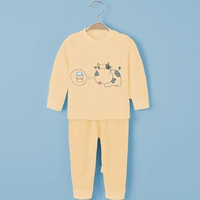 8222 Желтое плечо цветение