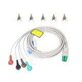 Three/Five/Beast's Hearts придерживаются 