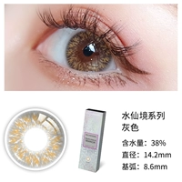 Aqusalem mirror series grey [1 пара] Годовой бросок