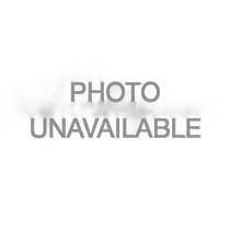 US Direct Mail Patagonia Capilene Cool Daily Graphic Hoodie - Women