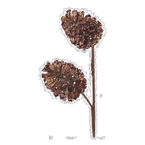 kurt s adlerKurt Adler 24-Inch Pinecone Spray - Variety (USA Outlet)