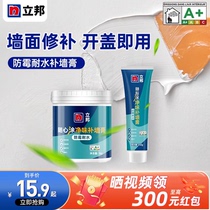 88 Nippon Paint Wall Repair Paste Wall Repair Paste Clean Odor Moisture-Proof Mildew-Proof Water-Resistant White Repair Putty Powder Decontamination Artifact