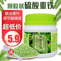 Ferrous sulfate Flower fertilizer for flowers Iron fertilizer Acid anti-yellow leaf indoor universal foliar fertilizer Phosphorus and potassium fertilizer