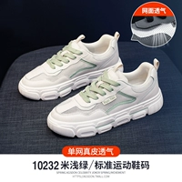 10T232M светло -зеленый 【одно -сетевая пустота и дышащая】