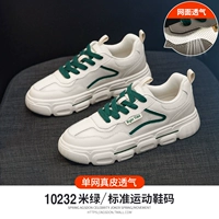 10T232 мм зеленый [одно -сетевая пустота и воздухопроницаемость]