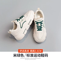 12T1089M метров зеленый [двойная строчка]