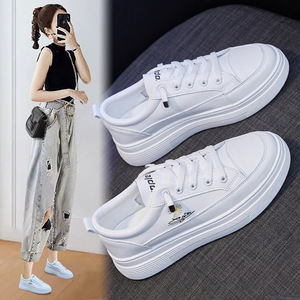 小雏菊女款小白鞋新款韩版百搭板鞋