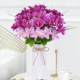 Gypsophila mô phỏng bó hoa khô giả hoa lớn bó phòng khách trang trí bàn ăn bàn cà phê đồ nội thất nhựa trang trí đạo cụ chụp - TV
