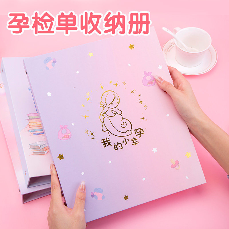 Pregnancy test information folder maternity examination intake Book pregnancy pregnant woman gestation pregnancy examination single report single file copy