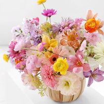 Flower plant dyeing Fresh cut flower dyeing agent Rose color-absorbing dye Brownie flower dyeing starry sky suction dyeing