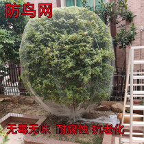 Bird-Proof Nets Orchard Fruit Tree Greenhouse Fish Pond Balcony Outdoor Patio Nylon Mesh Agricultural Transparent Mesh Protective God