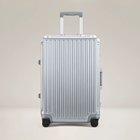 Стример серебро