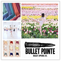 (In stock) Bullet Pointe Dance Slim Skirt Elastic Waist BP Practice Skirt Imported from the United States