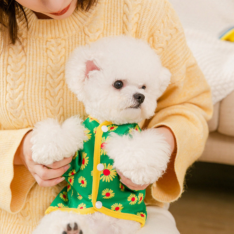 Autumn dog sweater teddy bear small dog clothing pet cat clothing thin section breathable kitten clothing supplies