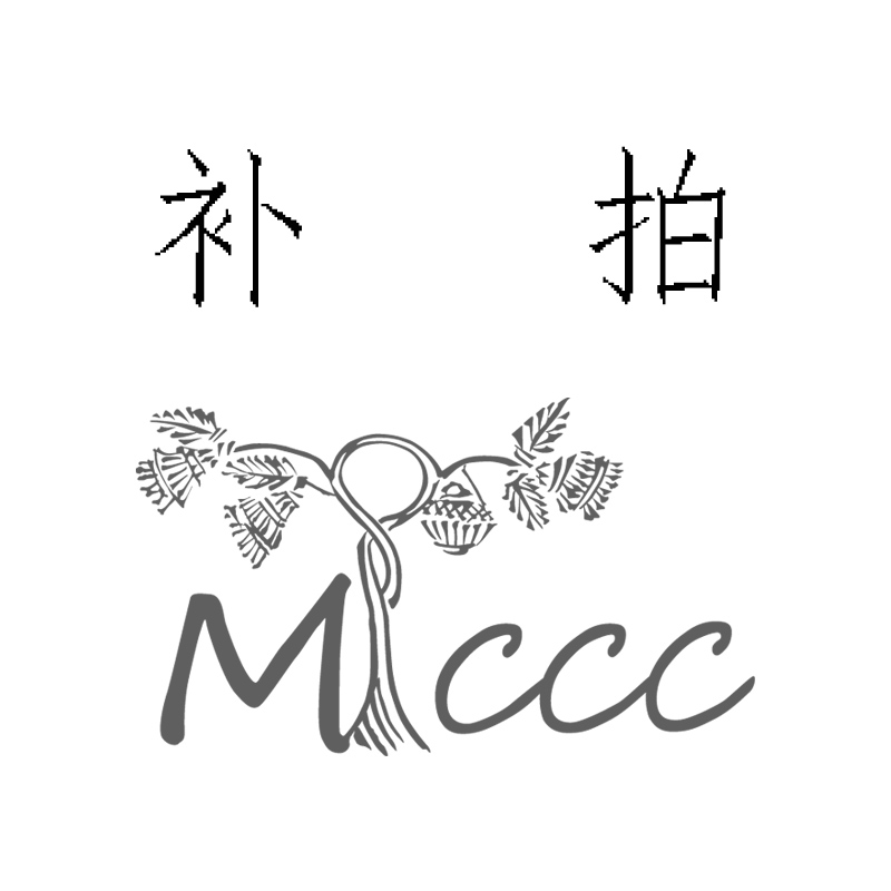 Wamyun Chuangxing postage difference patch