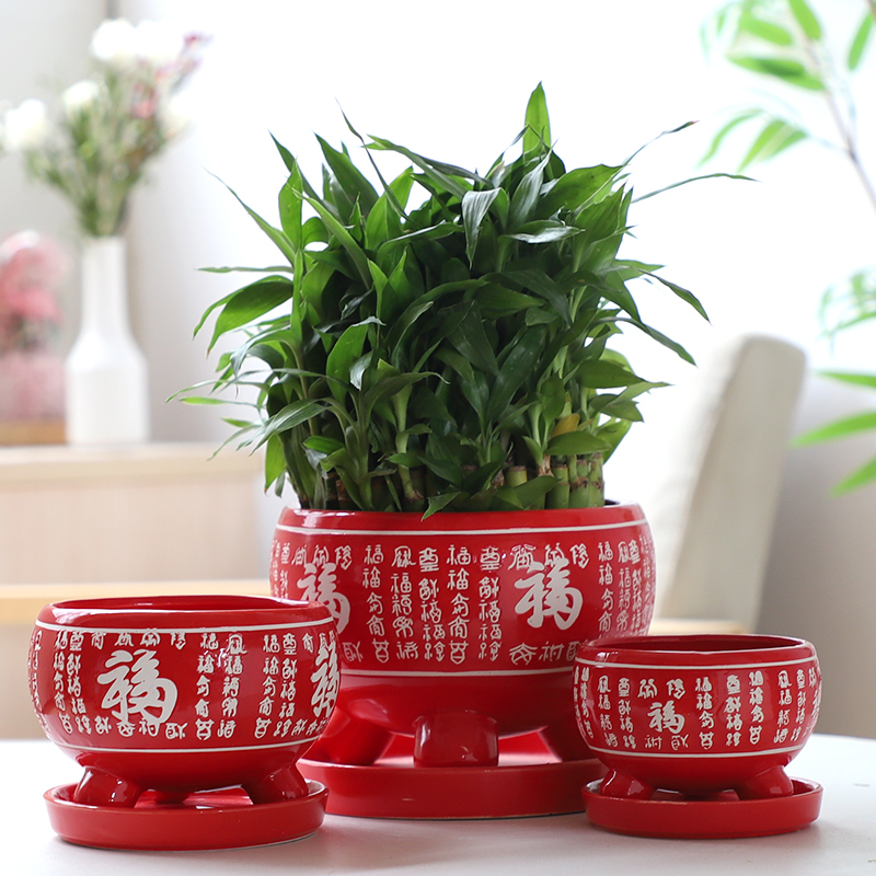 Chinese red ave flowerpot ceramic indoor large - sized belt tray bracketplant individuality creative contracted more than other meat flowerpot