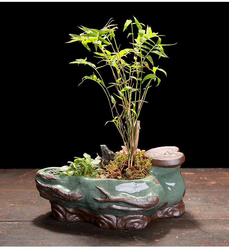 The Elder brother up with ceramic creative special offer a clearance indoor desktop restoring ancient ways, green potted meat more calamus asparagus bonsai POTS