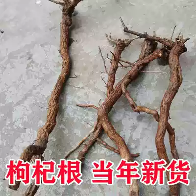 Lycium barbarum root 2021 fresh dried wild cored bone skin wolfberry root Lycium barbarum root old root red grenade root