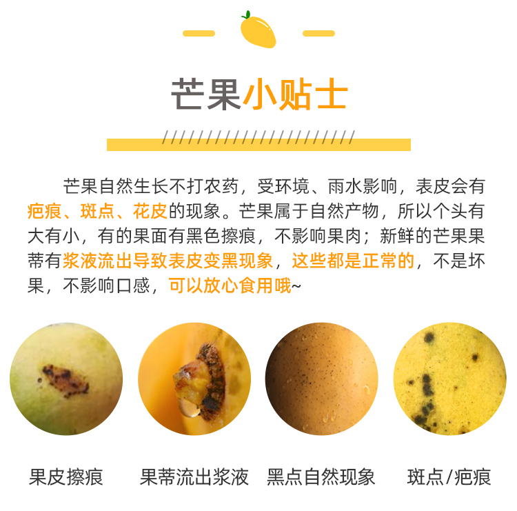 海南 金煌芒芒果 净重8斤 图11