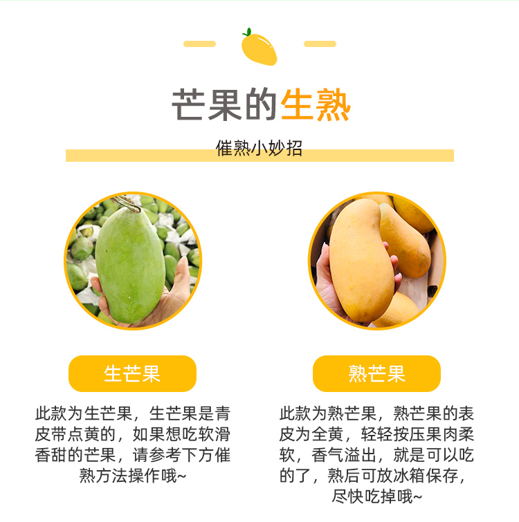 海南 金煌芒芒果 净重8斤 图8