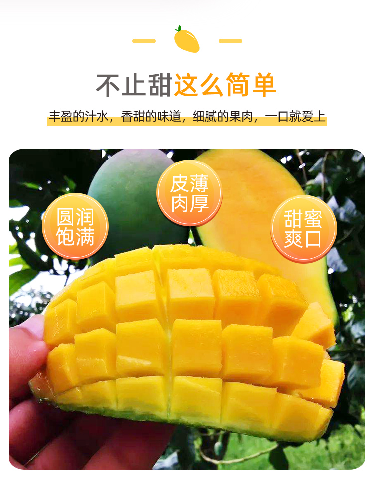 海南 金煌芒芒果 净重8斤 图1