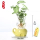Củ cải xanh sáng tạo bình thủy canh cắm hoa gốm thủy tinh kết hợp chậu hoa bể cá trang trí máy tính để bàn hình thiên nga - Vase / Bồn hoa & Kệ