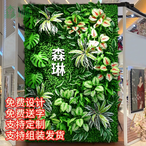 Зеленое растение Стены Стенка