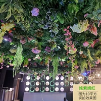 [Фактическая стрельба] 嫣 嫣 【(1 паритет)