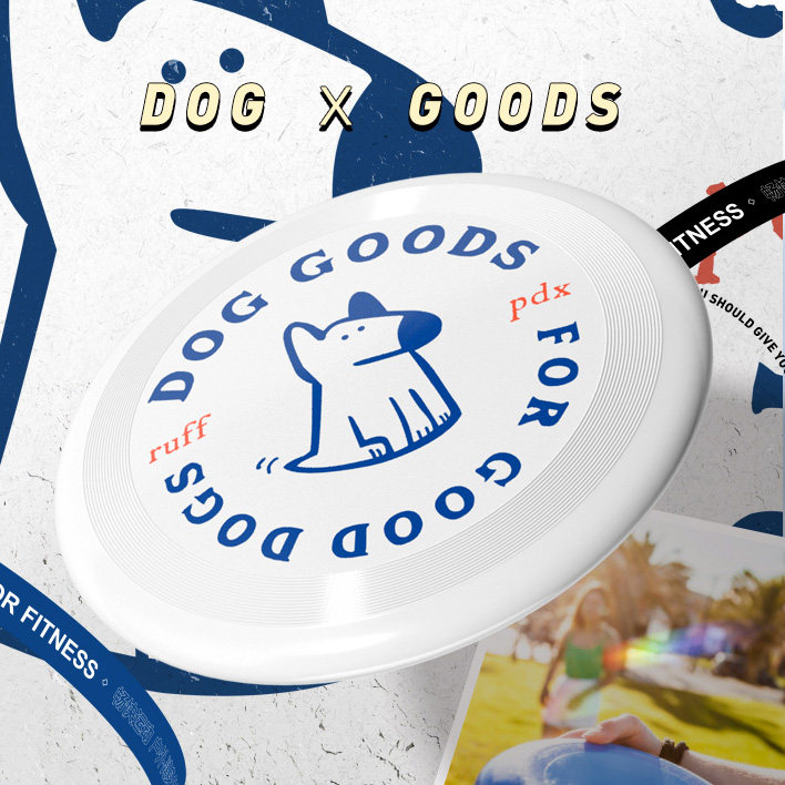 Fri - disk Outdoor Sports Limited Sports Competition adult 175G competition class dodging disc children soft - swing flying saucer