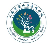 Shanghai Baoshan District Luming School uniform series (primary school)-Summer Suit (girls)