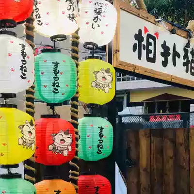 Round Japanese lantern color customizable pattern B & B