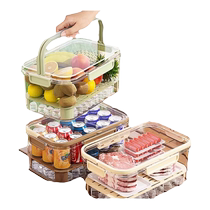 Portable crisper outdoor camping spring outing picnic mobile small refrigerator storage portable fruit lunch box 824