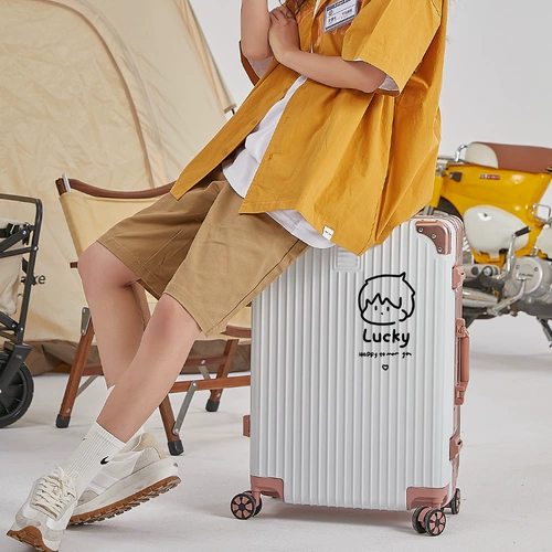 Брендовый универсальный чемодан для влюбленных, популярно в интернете, 20 дюймов, 24 дюймов