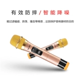 Сянке беспроводной микрофон домашний поет один -сделка с двумя металлическими u -частотационными микрофонами.