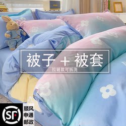Quilt with Quilt Cover Two-In-One, Air-Conditioned Quilt, Suitable for All Seasons, Student Dormitory, Single/Double, Spring and Autumn Thickened Quilt Core, Winter Quilt