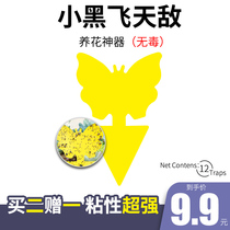 Stickworm board yellow board double-sided sticky insect board household yellow trap Flower insecticide green plant potted yellow trap