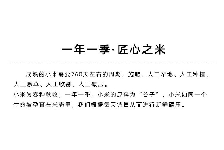 index_02.jpg