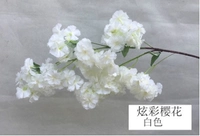 Вишневый цвет вишневой вишни (белый)