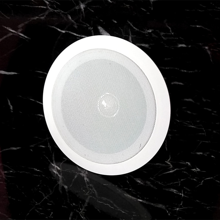 Panel 215mm 6.5 inch large basin diameter fixed resistance ceiling speaker 4 ohm 10w full-range ceiling background music audio
