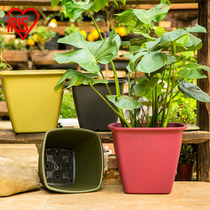 Alice flowerpot rectangular plastic thickened extra-large rose rose vegetable planting box balcony planting flower pot