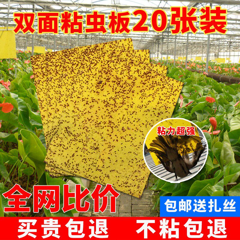 Armyworm board yellow board double-sided insect trap board blue board small black fly sticky flying insect paper agricultural greenhouse thrips armyworm board
