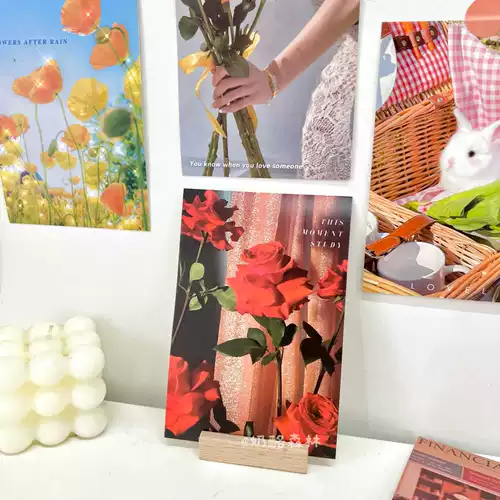 Пейзаж содержит 30 цветочных иллюстраций, поздравительных открыток, литературных и свежих настенных украшений, постановочных открыток и наклеек.