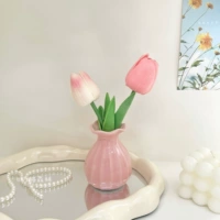 Дайдан порошок+2 тюльпаны