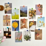 Пейзаж содержит 30 цветочных иллюстраций, поздравительных открыток, литературных и свежих настенных украшений, постановочных открыток и наклеек.