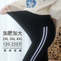 Pregnant women leggings plus size seven-point pants spring and summer thin style wear plus fat increase fat mm 200 pounds loose tide mom