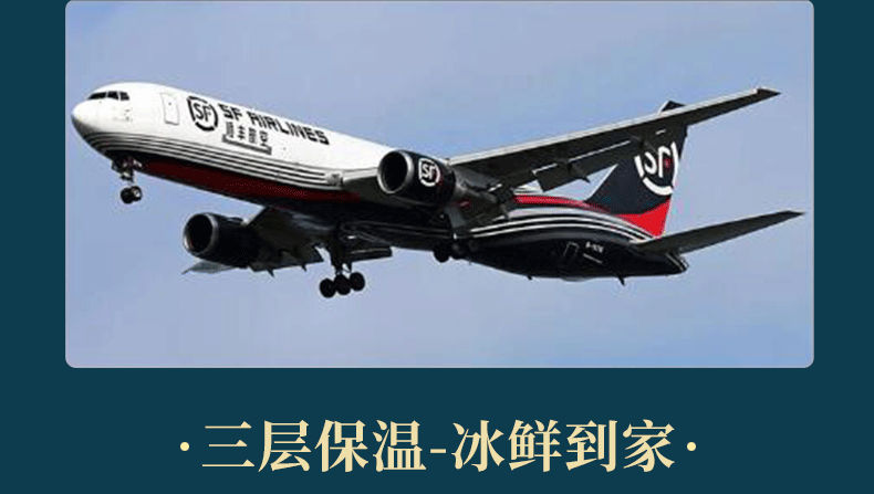 中国地理标志产品 6-8月盐池滩羊 羊后腿 4斤整 图17