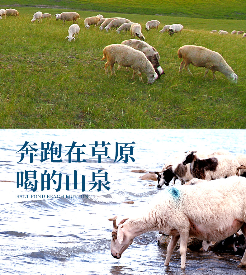 上合峰会指定羊肉 牛穆穆 宁夏盐池滩羊肉串 2斤/60串 图7