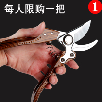 Cutting scissors horticultural cutting branches fruit trees fruit branches pruning shears flower scissors garden flower art Strong and labor-saving rough branches