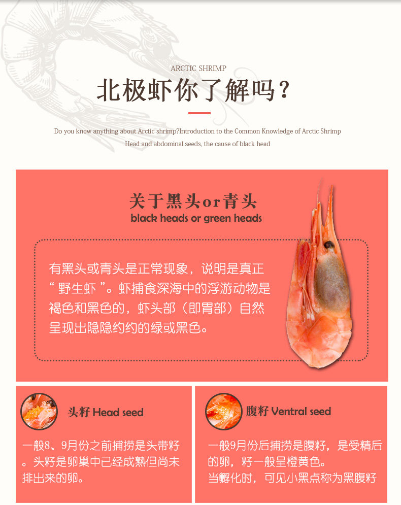 丹麦进口 大号头籽 北极甜虾 净重4.3斤 规格80-100只/千克 图8
